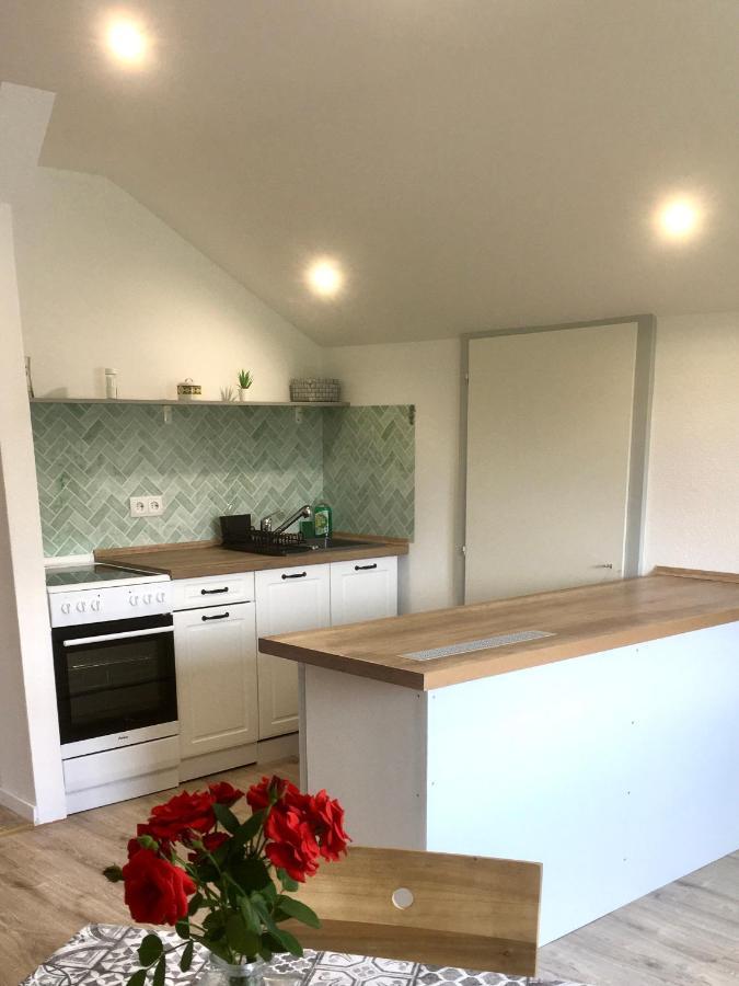 Swiss View Apartment Hohentengen am Hochrhein Екстериор снимка