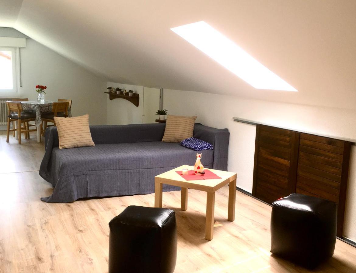 Swiss View Apartment Hohentengen am Hochrhein Екстериор снимка