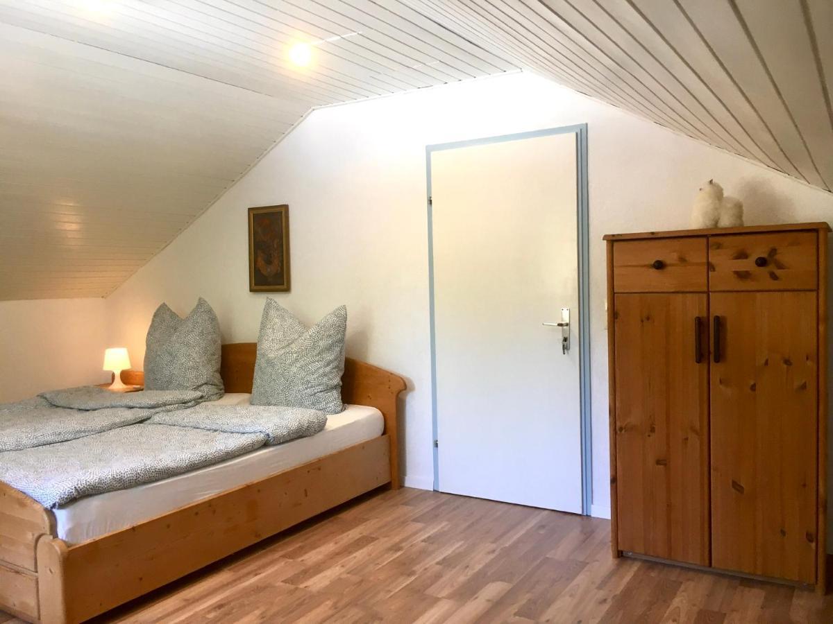Swiss View Apartment Hohentengen am Hochrhein Екстериор снимка