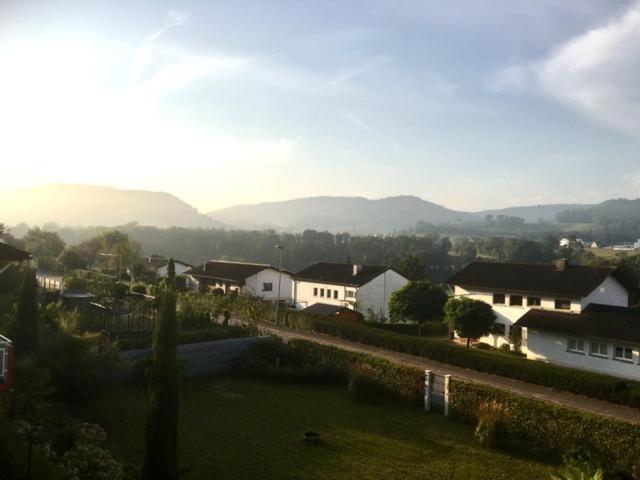 Swiss View Apartment Hohentengen am Hochrhein Екстериор снимка