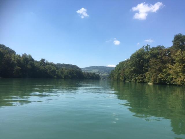 Swiss View Apartment Hohentengen am Hochrhein Екстериор снимка